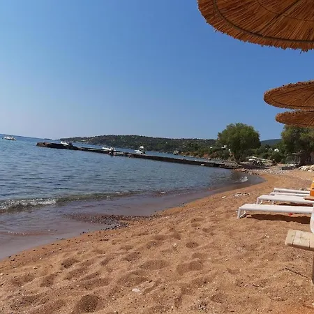 Konstantina's House I *